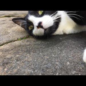 Meet your Posher, Kay